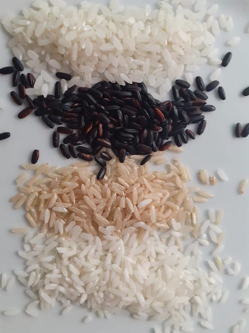 different varieties of rice