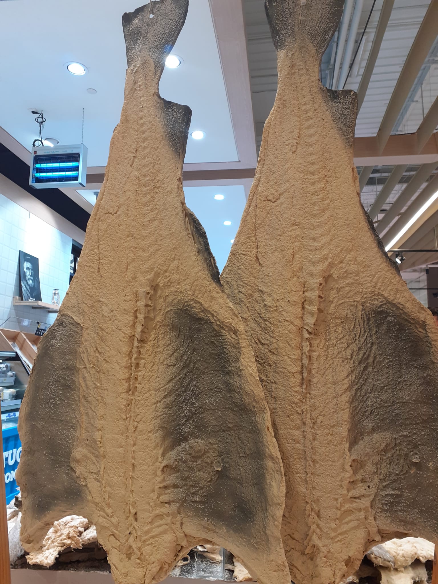 Hanging cod