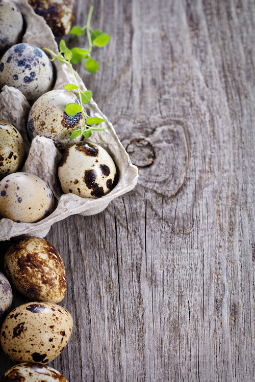 Quail egg