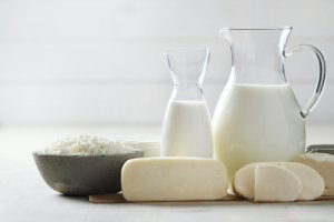 dairy products