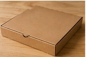 Can you put a pizza box in the oven