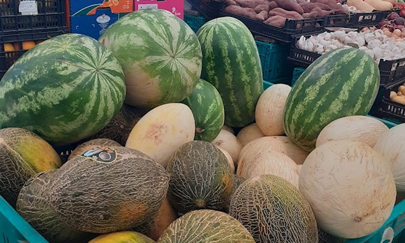Fruits