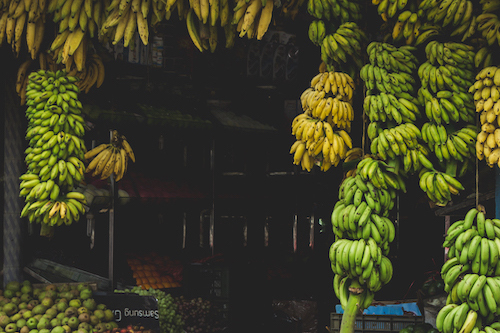 How to Prevent Green Bananas from Ripening?